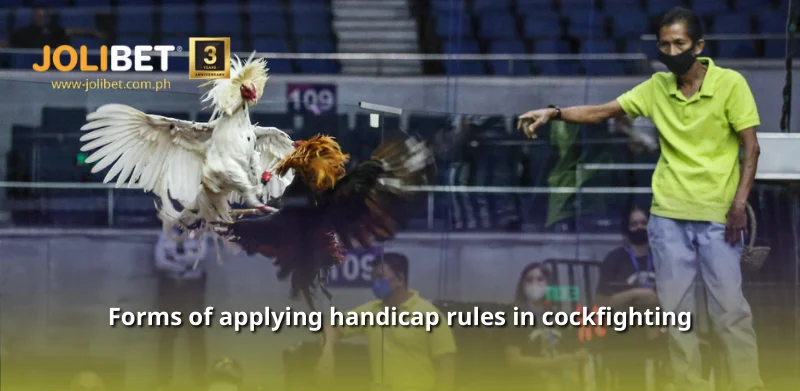 Forms of applying handicap rules in cockfighting