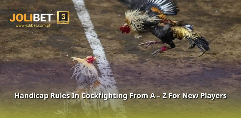 Handicap Rules In Cockfighting